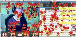 风飞🌸花落主播照片