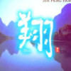 大缘宝