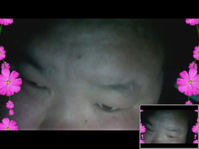 Polledseg的主播照片