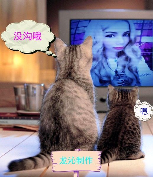 陈思郦🍀听经典🍀的图片