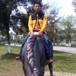 ♥╭⒐sの杜习富♥╭海报