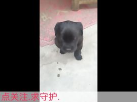一直大郑郑主播照片