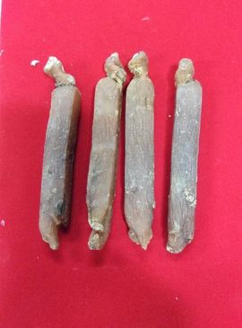过往皆是浮云主播照片