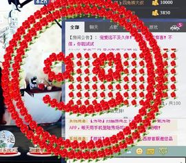 天音小琪主播照片
