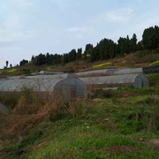 微信_0611710