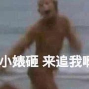 来自牛粪上的一朵向日