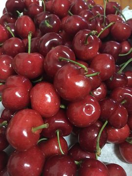 37℃冷児。主播照片