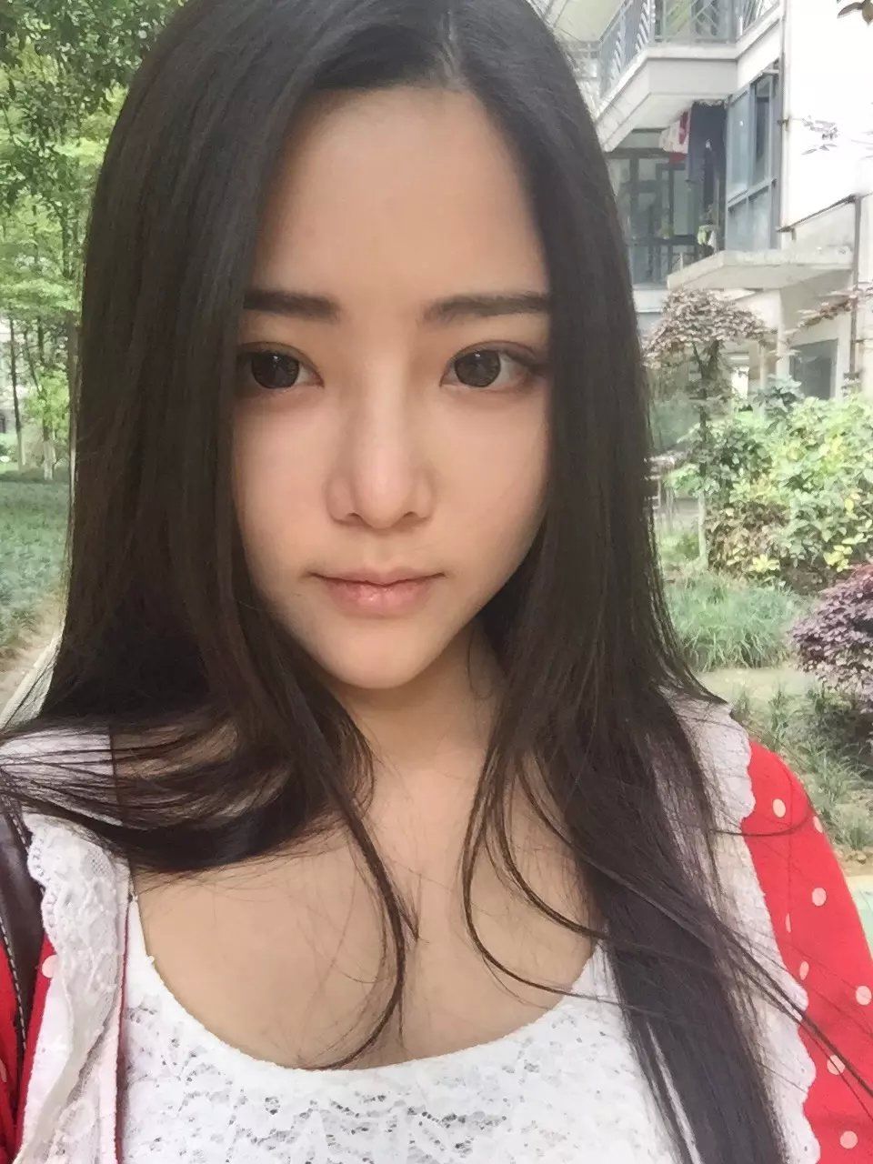 海豚团♪小茜茜的图片