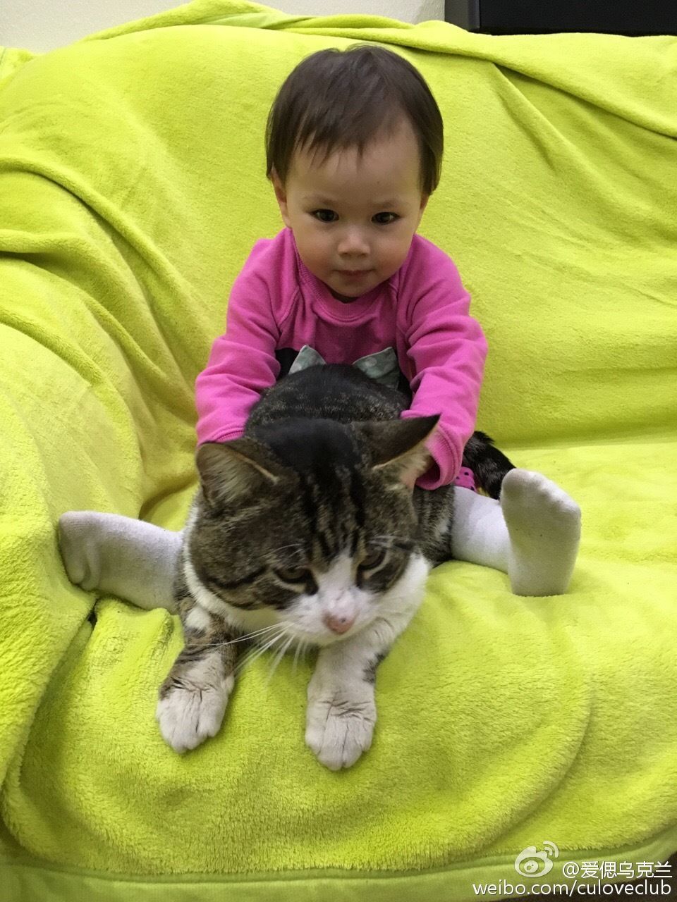 主播有狐臭主播照片