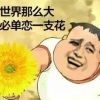 ǒ╭路人╮甲