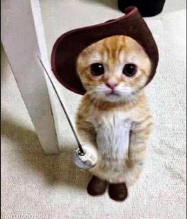 李小滟子cherry主播照片