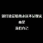 野外生存之生活。