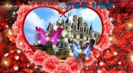 ︶￣无双时代丶小蝴蝶主播照片