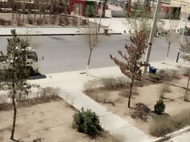 董姨？主播照片