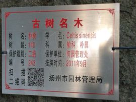 冬寒飞雪、主播照片
