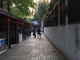 冬寒飞雪、主播照片