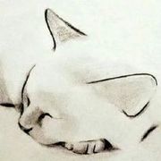 破铜烂铁。海报