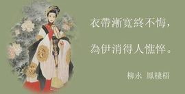 玫瑰花4113025主播照片