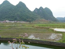 茉伊小乖等你来爱主播照片