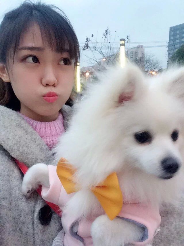 習慣有妮的图片