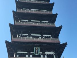 冬寒飞雪、主播照片
