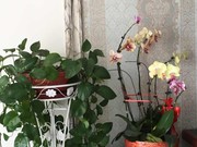 微信_2413007