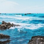 恍然间人去楼空