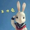 天才兔