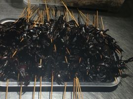 冬寒飞雪、主播照片