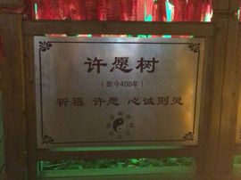 冬寒飞雪、主播照片