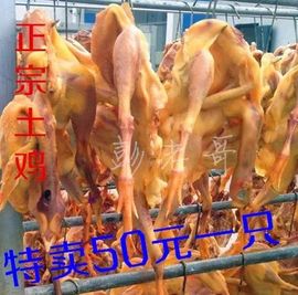发的发生的444主播照片