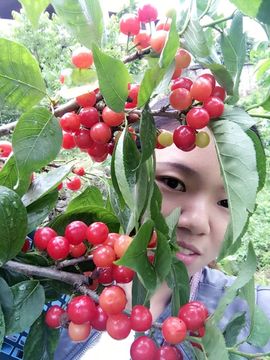 一杯+烈酒主播照片