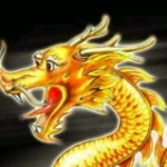 龍少爷闪亮登场