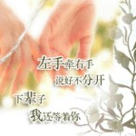 回忆总是酸酸的海报