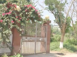 小花儿♥主播照片