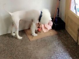 乐文就爱扯淡主播照片