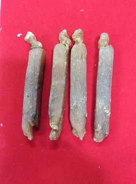小爽别回头，我是河东主播照片