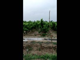一秒钟の记忆主播照片