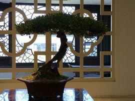 冬寒飞雪、主播照片