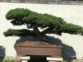 冬寒飞雪、主播照片