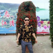 微信_3408153海报