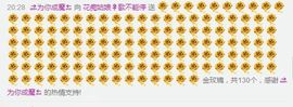徐姑娘～时光不老主播照片