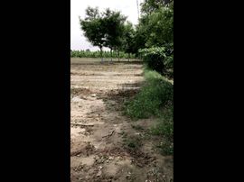 一秒钟の记忆主播照片