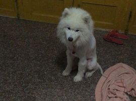乐文就爱扯淡主播照片