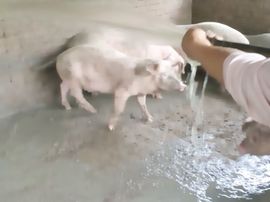小花儿♥主播照片