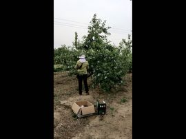 一秒钟の记忆主播照片