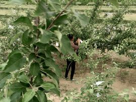 一秒钟の记忆主播照片