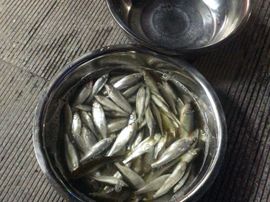 泓一户外主播照片