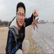 🇨🇳朝阳海报