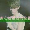 不在迷茫i